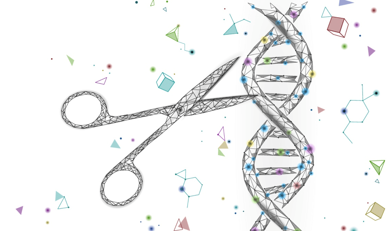 Edición genética | biotecnologias | Crispr | Nethunting |Gema Requena